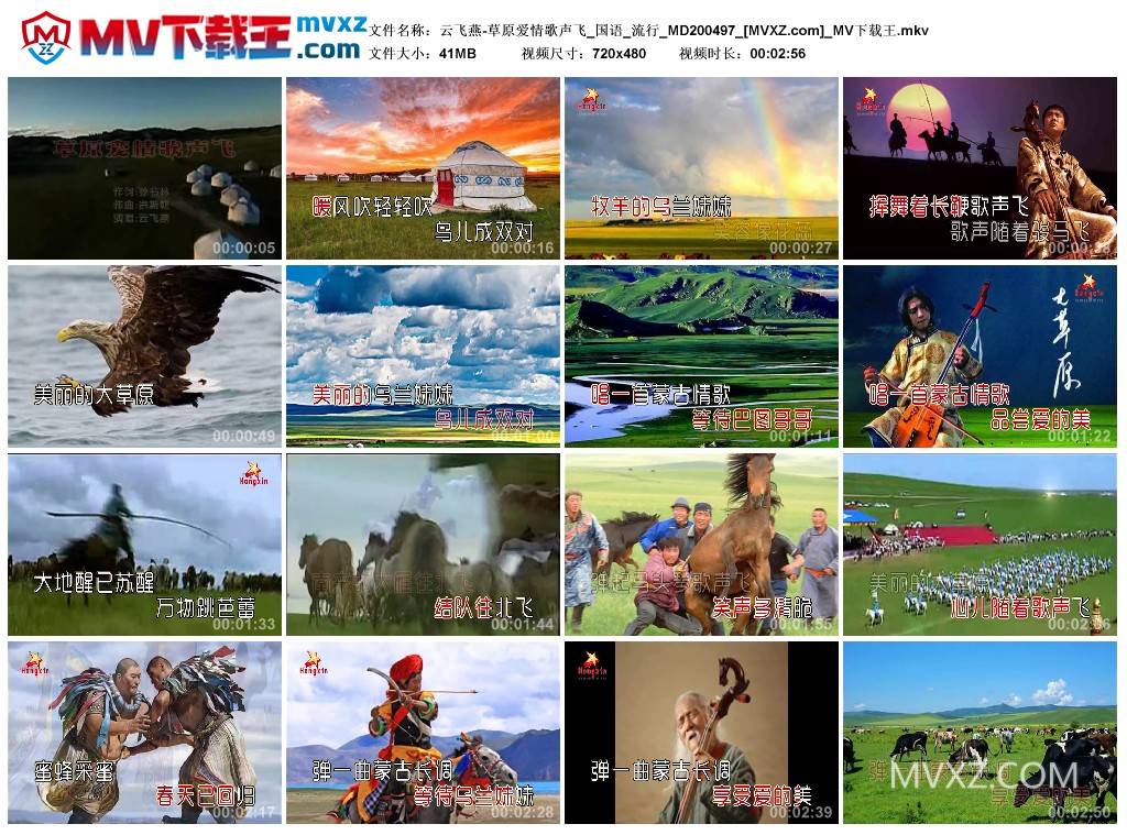 云飞燕-草原爱情歌声飞_国语_流行_MD200497